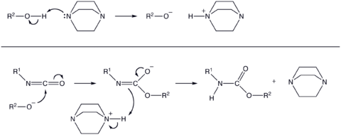 Reaction meachanism