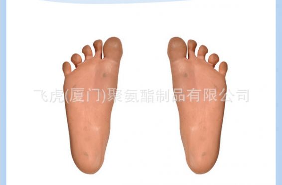 01医疗脚模型MEDICAL FEE MODEL